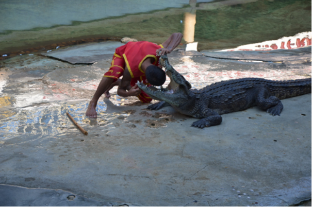 1655271876102239.png image.png